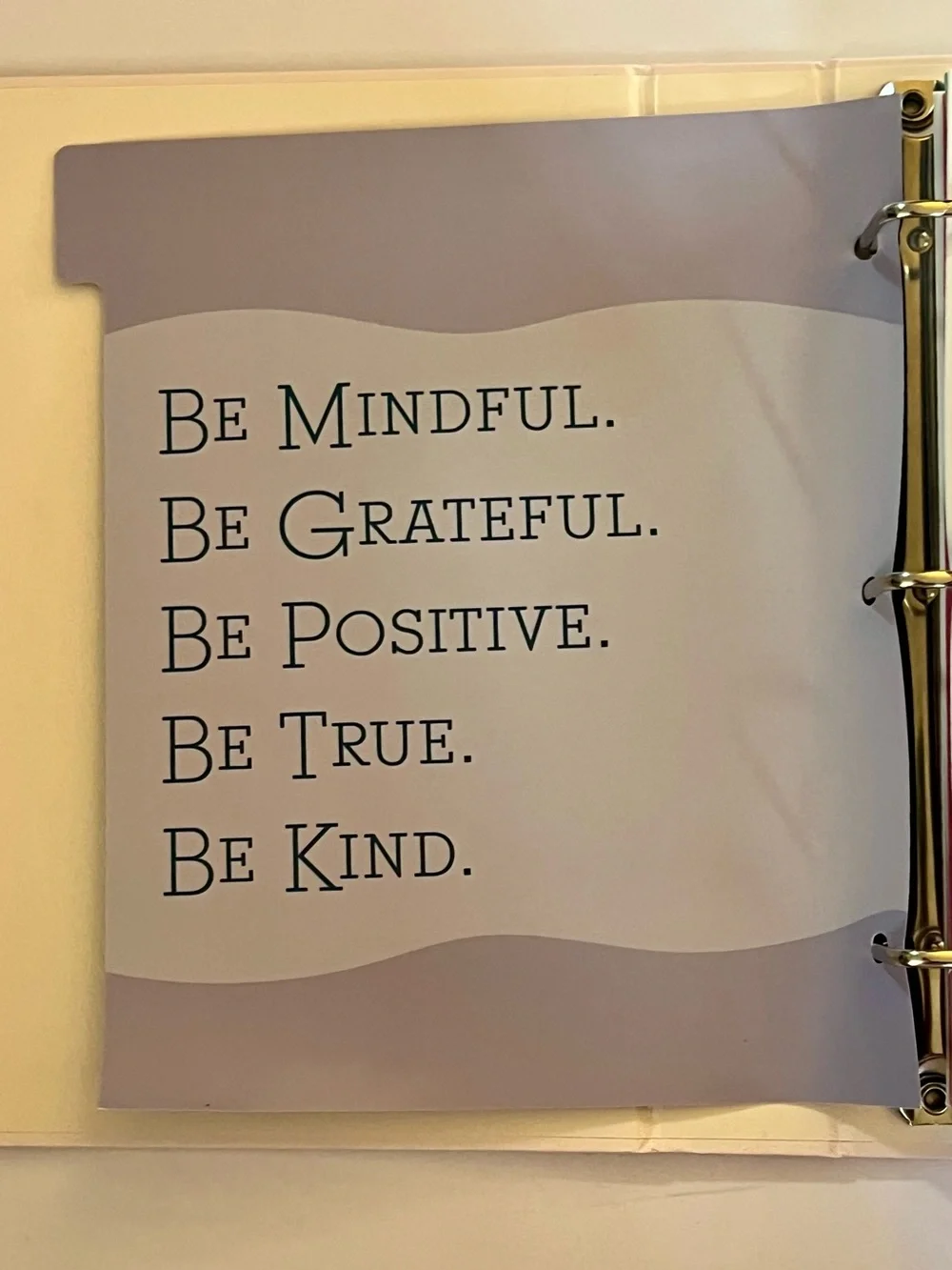 🆕 Pembrook Mindfulness Wellness Planner 52 Week Self Care Journal NWT